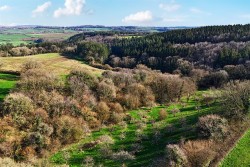 Images for Bere Peninsula, West Devon