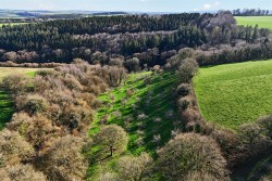 Images for Bere Peninsula, West Devon