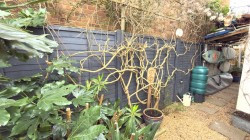 Images for Freshwater Bay, Isle of Wight