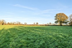Images for Land at Herridge Farm, Holditch, Chard