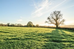 Images for Land at Herridge Farm, Holditch, Chard