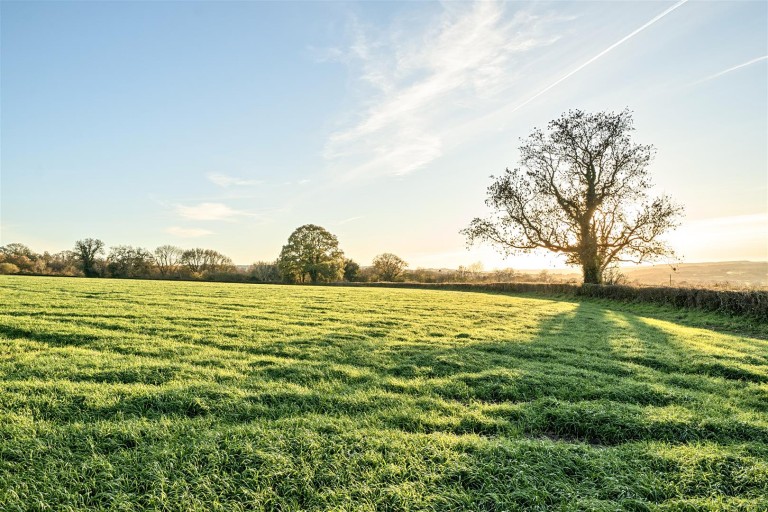 Images for Land at Herridge Farm, Holditch, Chard