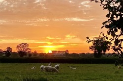 Images for Lower Street, West Chinnock, Crewkerne