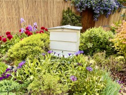 Images for Lower Street, West Chinnock, Crewkerne