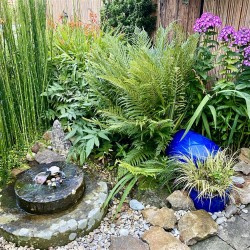 Images for Lower Street, West Chinnock, Crewkerne