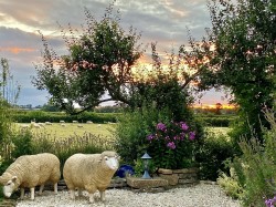 Images for Lower Street, West Chinnock, Crewkerne