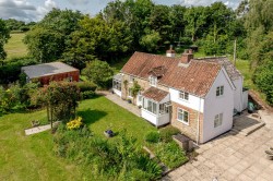 Images for New England, Chard