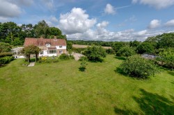 Images for New England, Chard