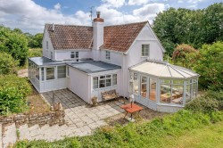 Images for New England, Chard