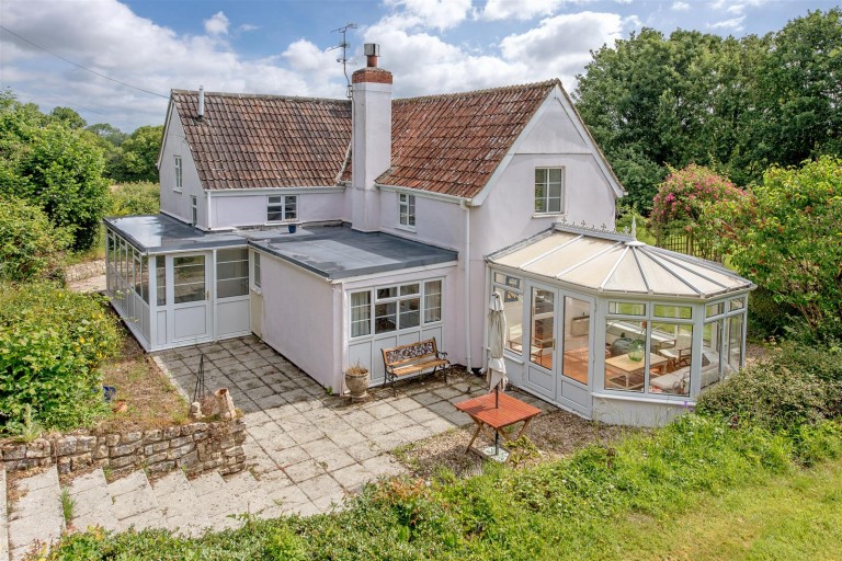 Images for New England, Chard