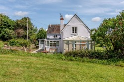 Images for New England, Chard