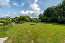 Images for New England, Chard