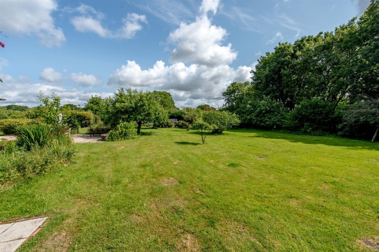 Images for New England, Chard