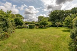 Images for New England, Chard