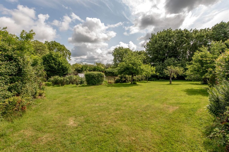 Images for New England, Chard