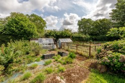 Images for New England, Chard