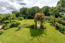 Images for New England, Chard