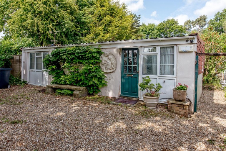 Images for New England, Chard