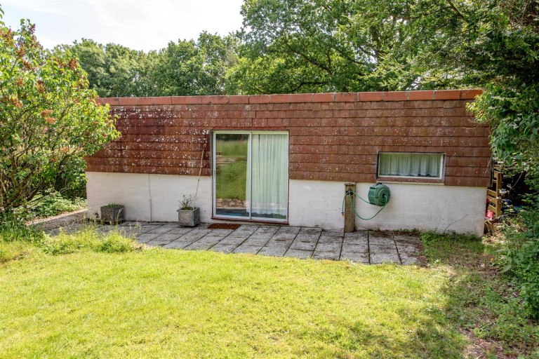 Images for New England, Chard