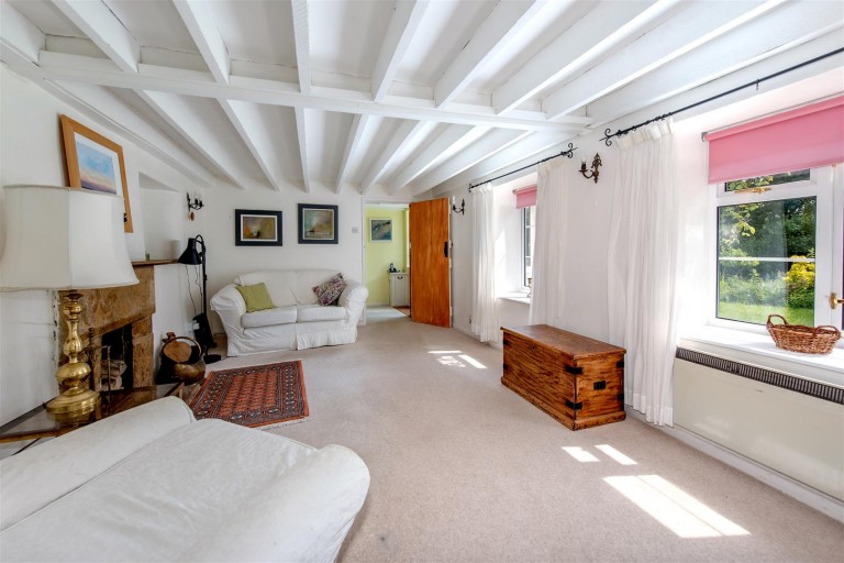 Images for New England, Chard