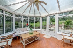 Images for New England, Chard