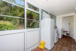 Images for New England, Chard