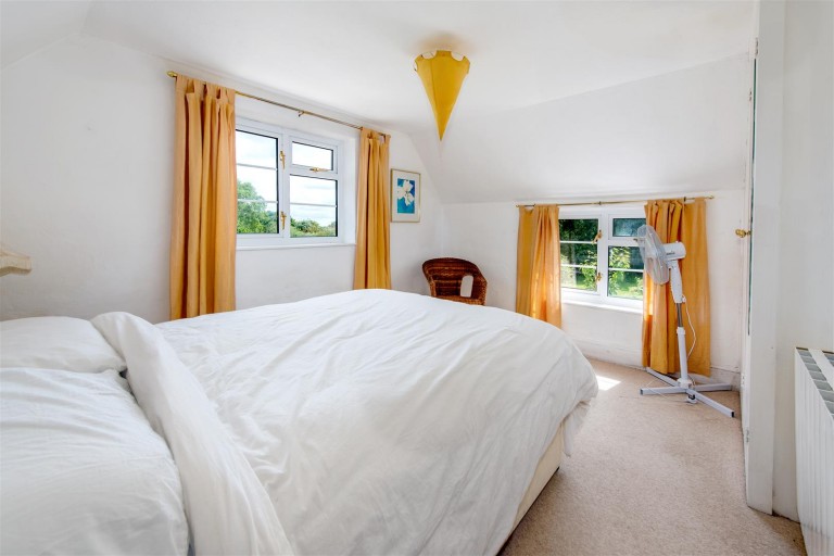 Images for New England, Chard