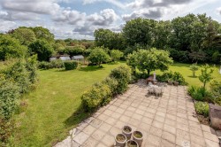 Images for New England, Chard