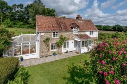 Images for New England, Chard