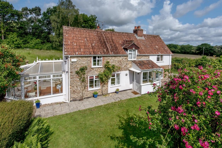 Images for New England, Chard