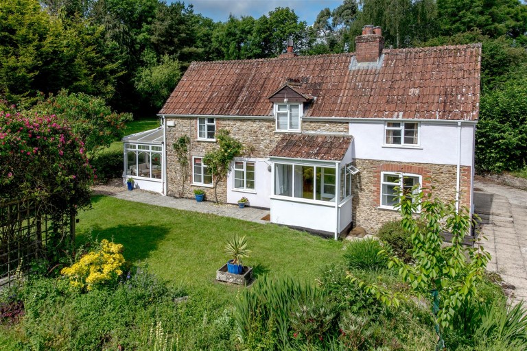 Images for New England, Chard