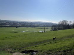 Images for Sisterhood Farm, Axminster, Devon