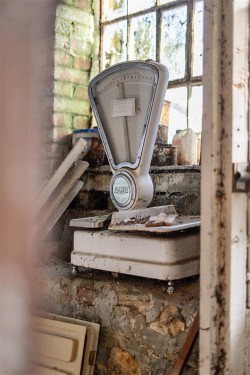 Images for Castle Hill, Axminster