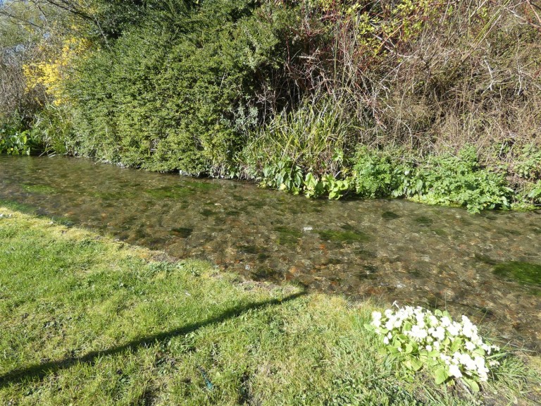 Images for Fontmell Magna