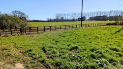 Images for Puddletown, Haselbury Plucknett, Crewkerne