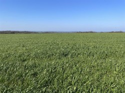 Images for Roborough, Winkleigh