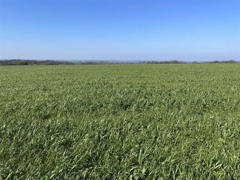 Images for Roborough, Winkleigh