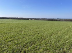 Images for Roborough, Winkleigh