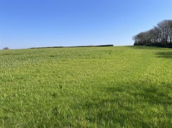 Images for Roborough, Winkleigh