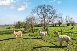 Images for Meare Green, Stoke St. Gregory, Taunton
