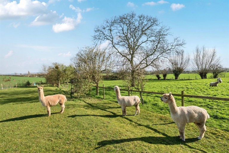 Images for Meare Green, Stoke St. Gregory, Taunton