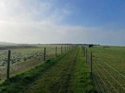 Images for Wellow, Isle of Wight