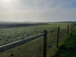 Images for Wellow, Isle of Wight