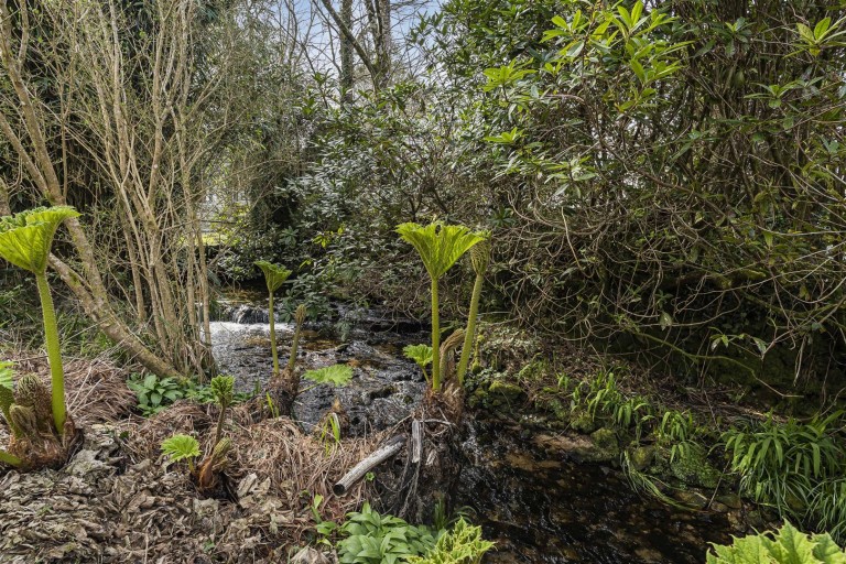 Images for St. Breward