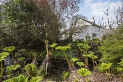 Images for St. Breward