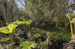 Images for St. Breward