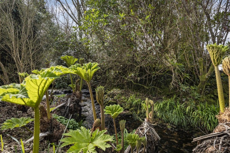 Images for St. Breward