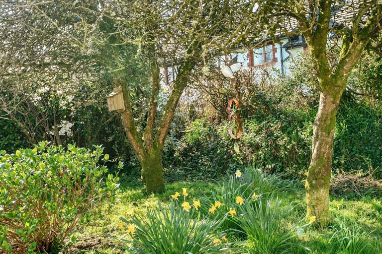 Images for Rye Park, Beaford