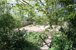 Images for Yarmouth, Isle of Wight