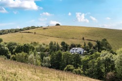 Images for Whitestone